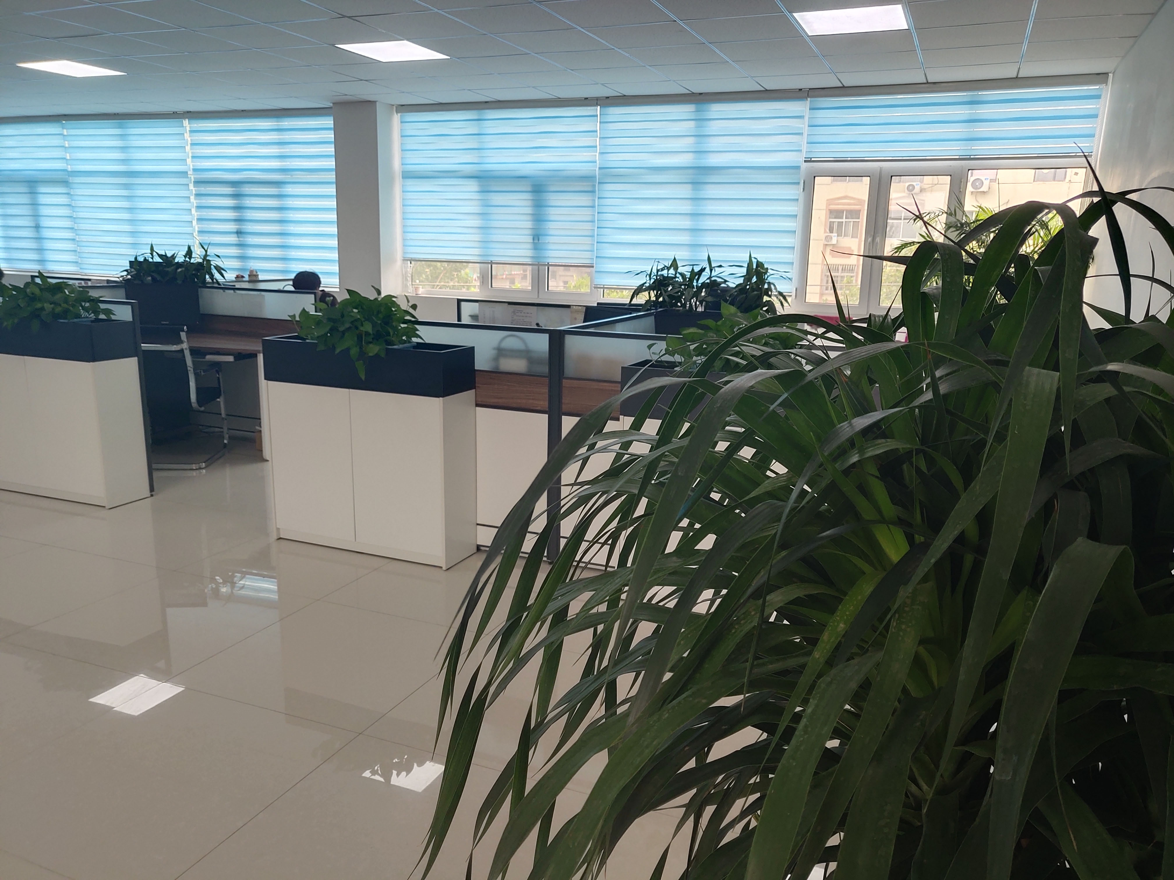 辦公環境6